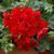 000101 фото