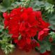 000101 фото 1