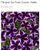 Петунія Go! Tunia Cosmic Violet  саджанець 000253 фото