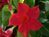 000103 фото