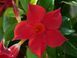 000103 фото