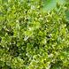 000154 фото