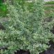 000155 фото