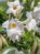 000108 фото