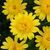 000160 фото