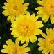 000160 фото 1