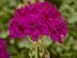 000111 фото 1