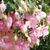 000166 фото