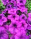 000090 фото 1