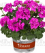 000121 фото 1