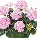 000123 фото 1