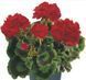 000223 фото 1