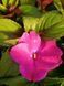000181 фото