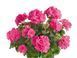 000131 фото 1