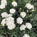 000044 фото 1