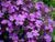 000145 фото