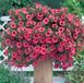 000095 фото 1